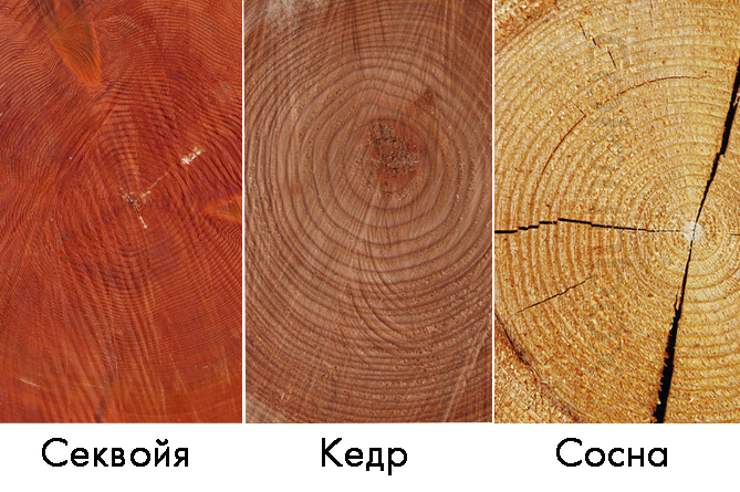 Сравнение дерева